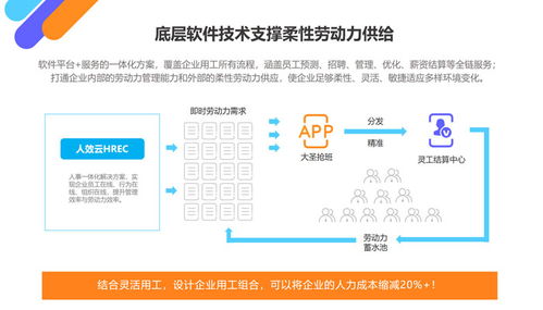 專業(yè)指南 服務(wù)員外包管理軟件推薦與銷售策略
